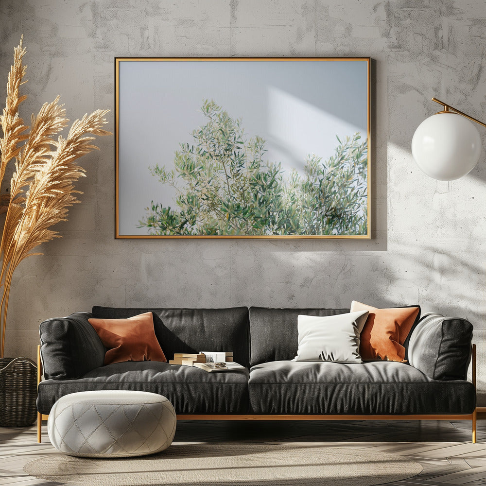 Oliven in Ostuni | Italien Reisefotografie | Leinwand