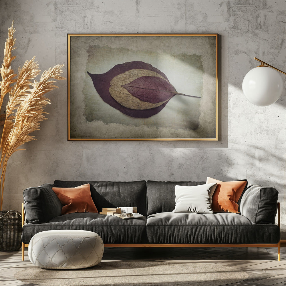 Die Geschichte der Natur | Poster