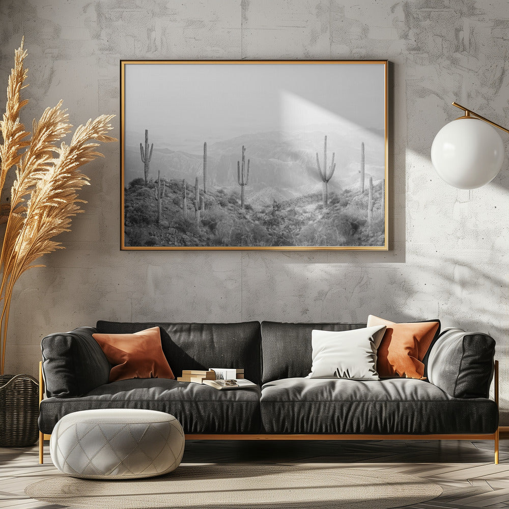 Westlicher Kaktus | Poster