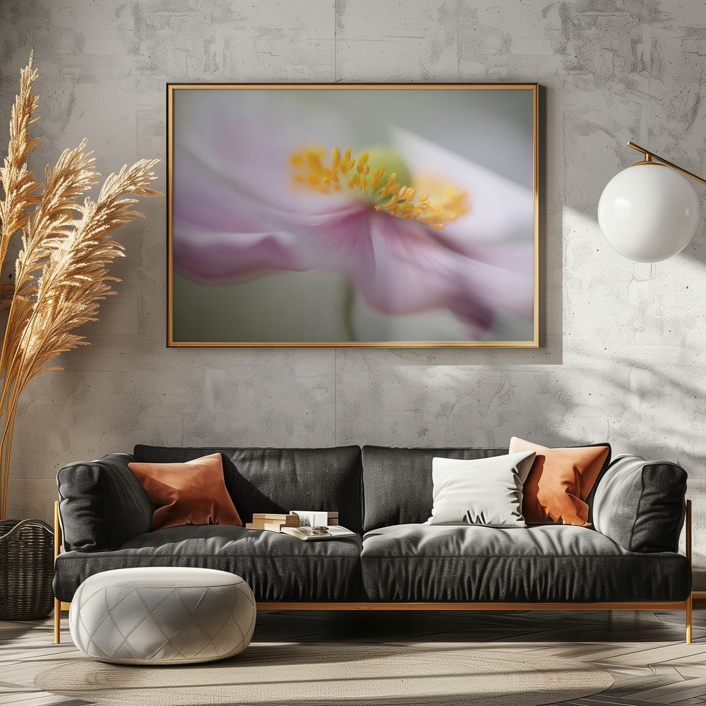 Dreaminess | Canvas