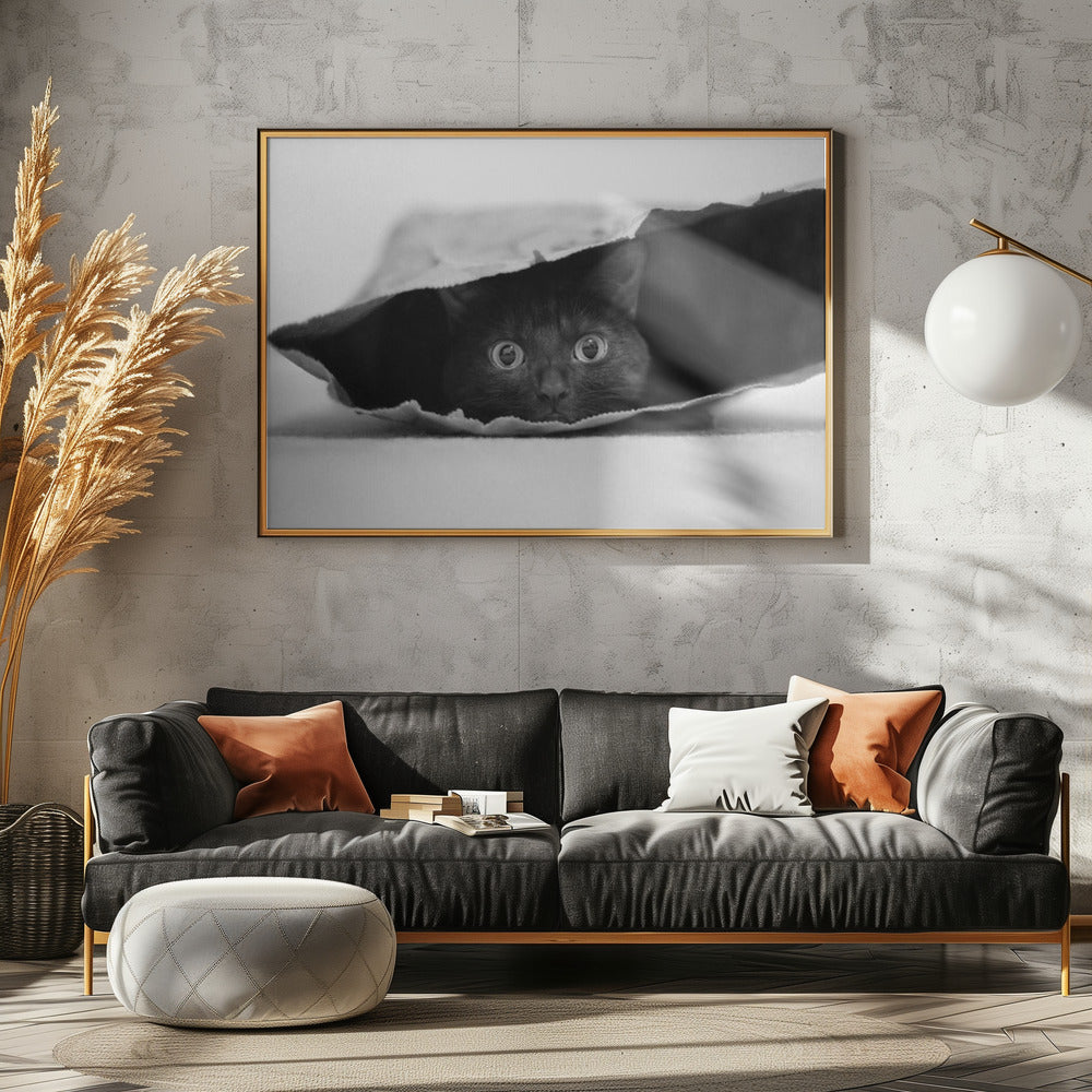 Katze im Sack | Leinwand