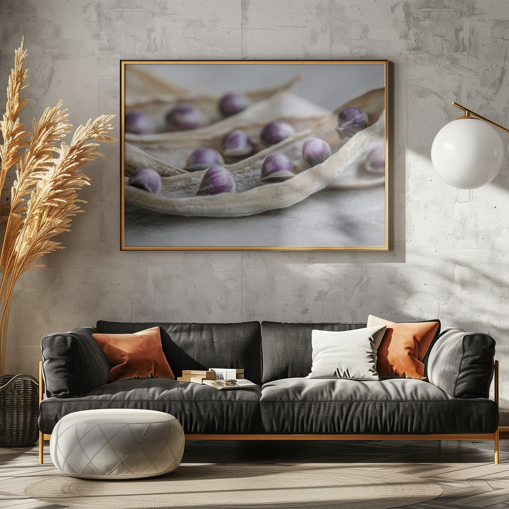 Lila Samen Symphonie | Poster