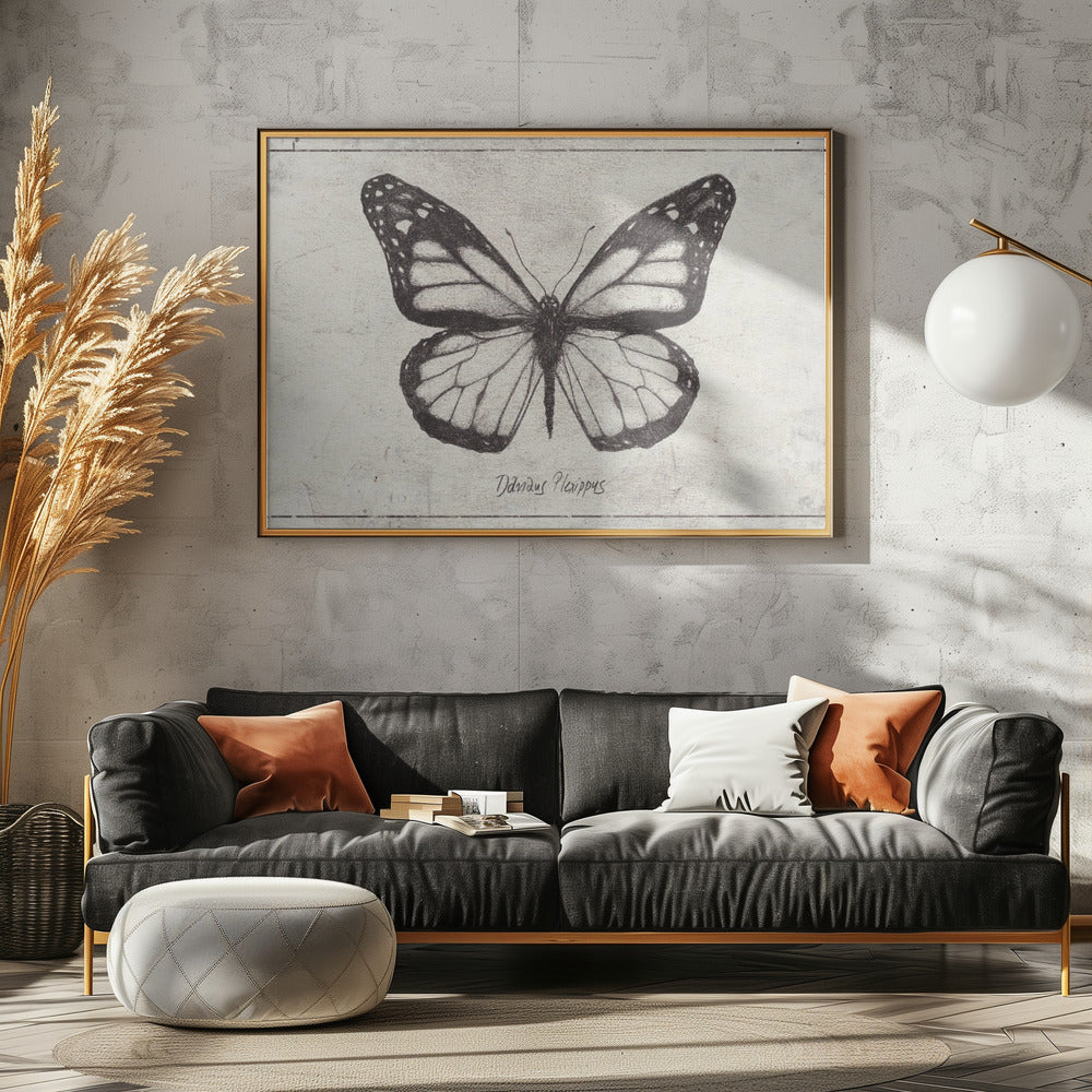 Sketch Of A Monarch Butterfly | Canvas
