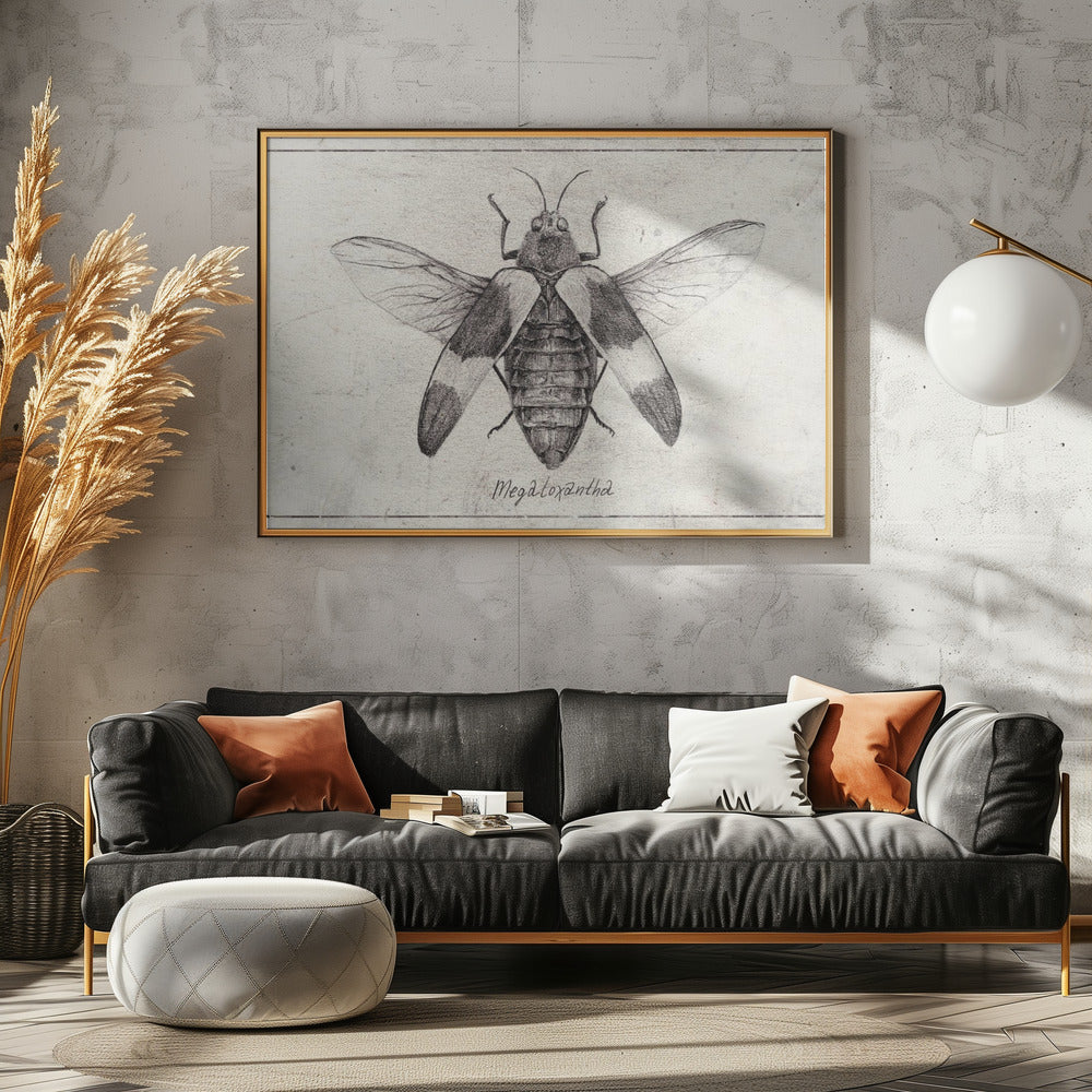 Komplexe Insektenskizze | Leinwand