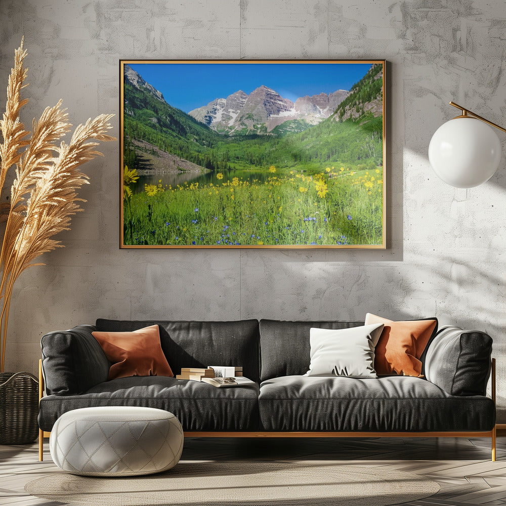 Maroon Bells Wildblumen | Poster