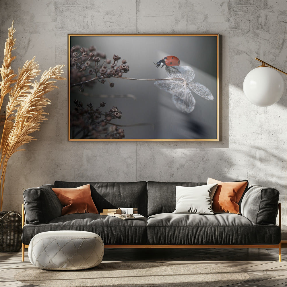 Marienkäfer auf Hortensie. | Poster