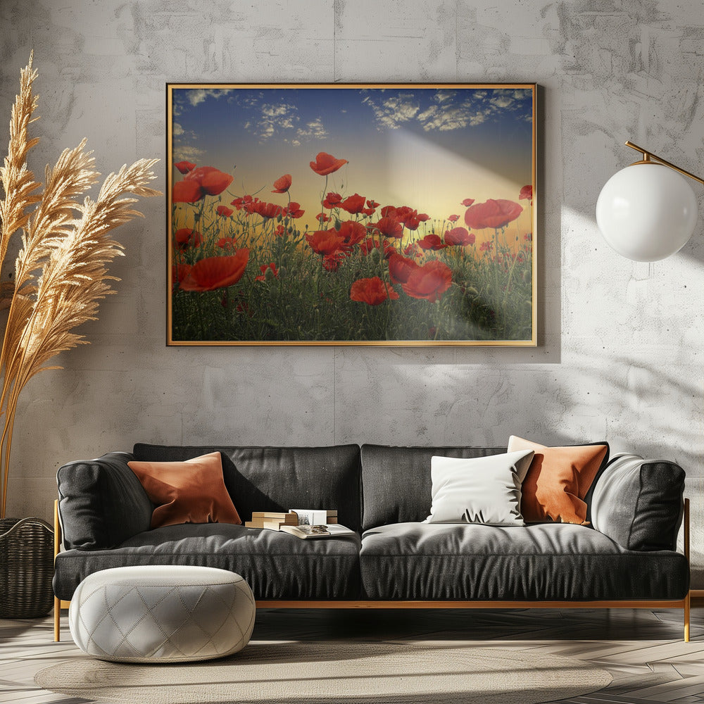Mohnblumen | Poster