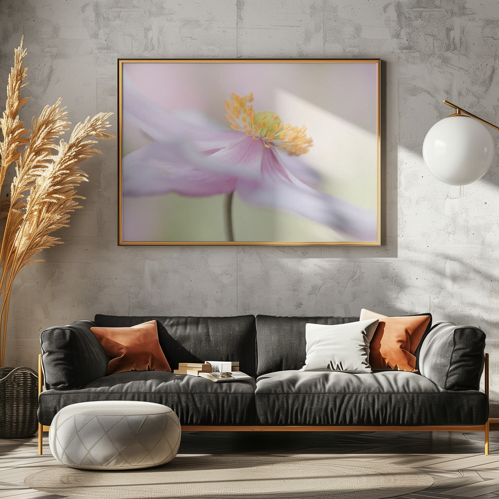 Japanische Anemone | Poster