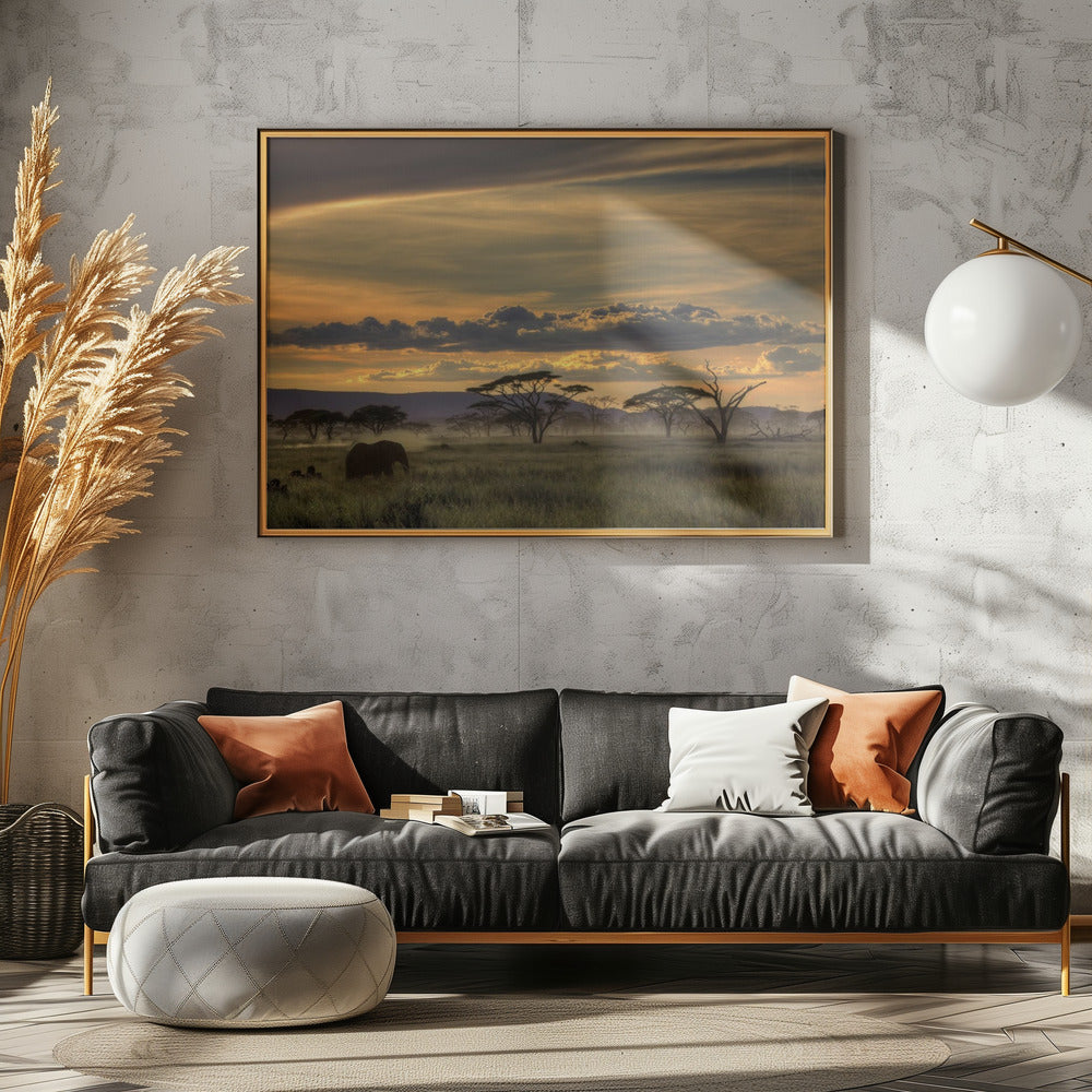 Africa | Canvas