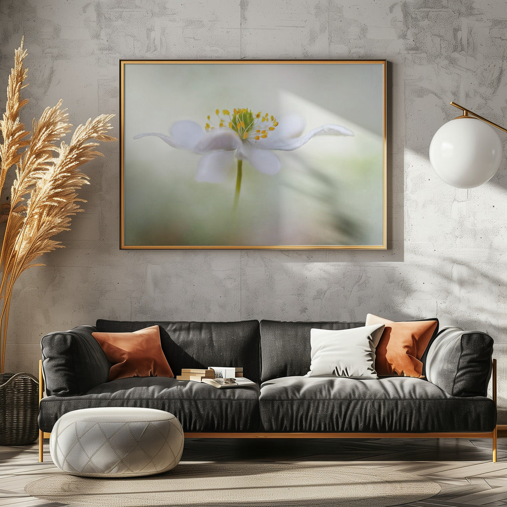 Nemorosa* | Leinwand