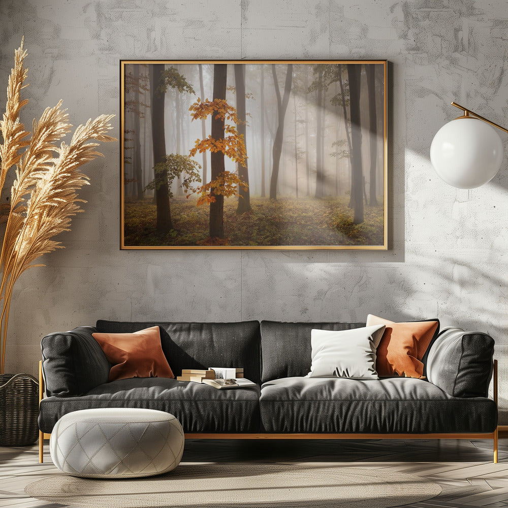 In November Light | Canvas
