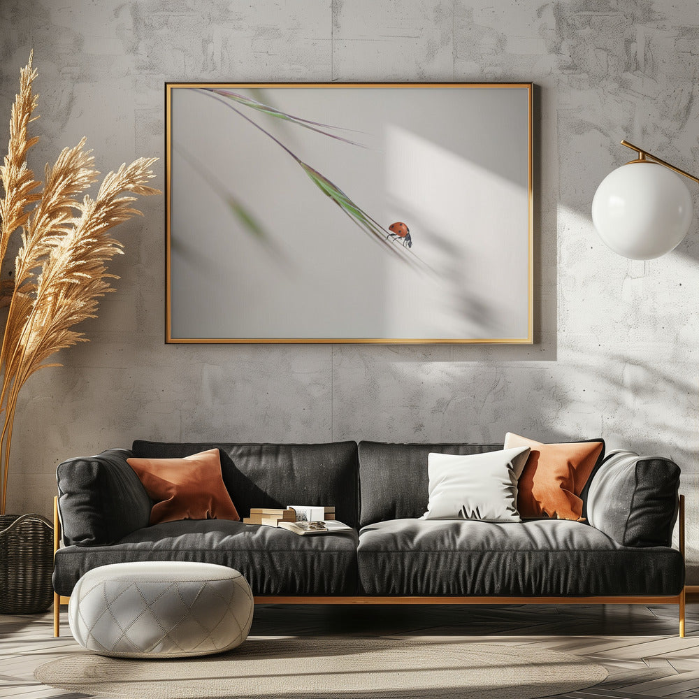 ladybug | Canvas