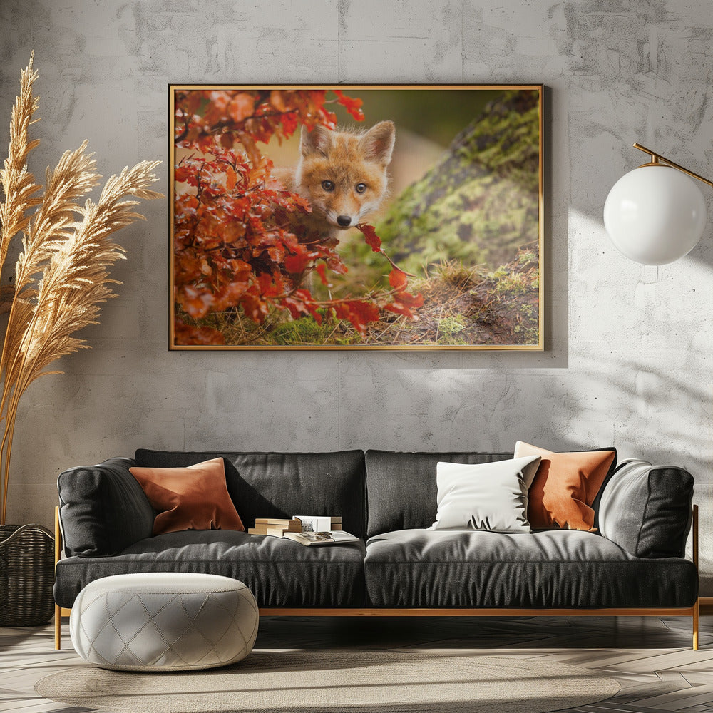 Fuchs | Poster