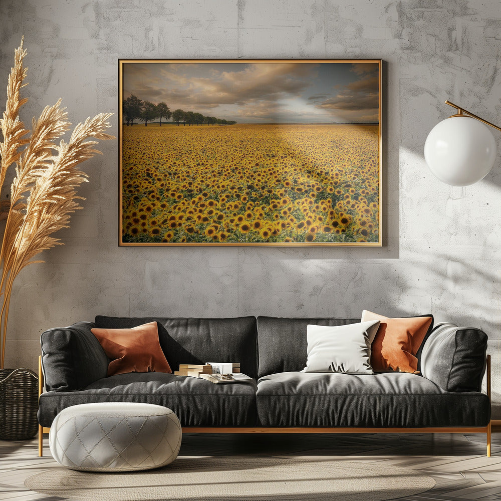 Sonnenblumen | Leinwand