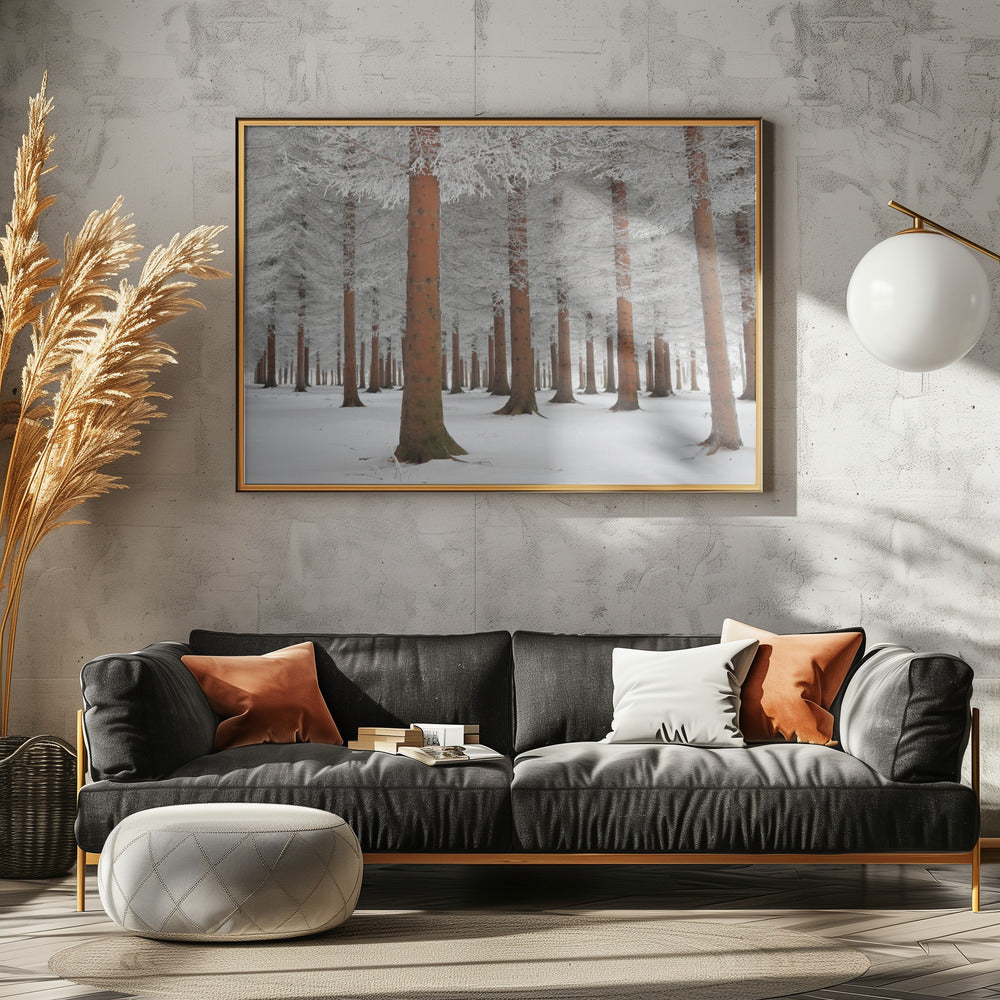 In White | Canvas