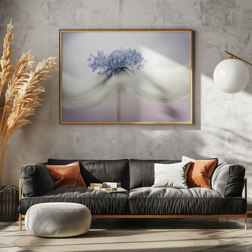 Anemone | Leinwand