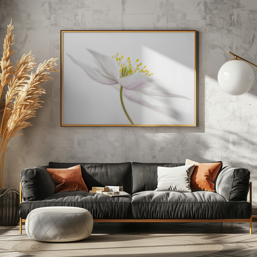 Nemorosa** | Poster