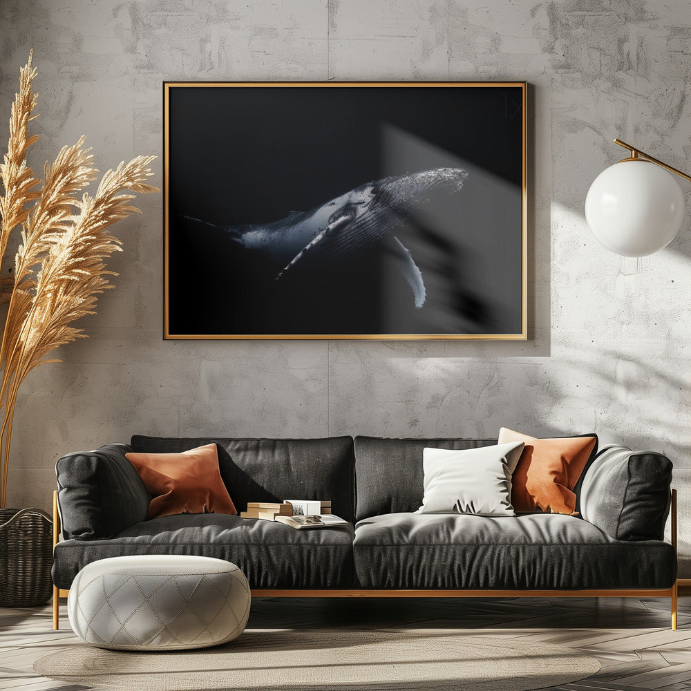 Schwarz & Wal | Leinwand
