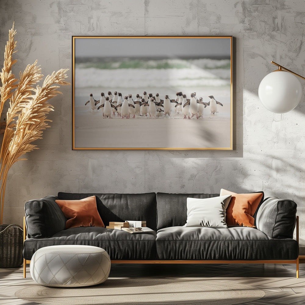 Desembarco | Canvas