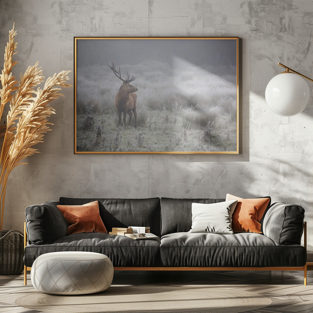 Stolz. Hirsch. | Poster