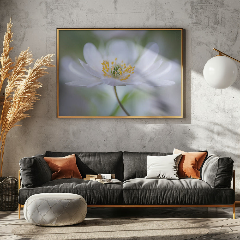 Nemorosa Nirvana | Leinwand