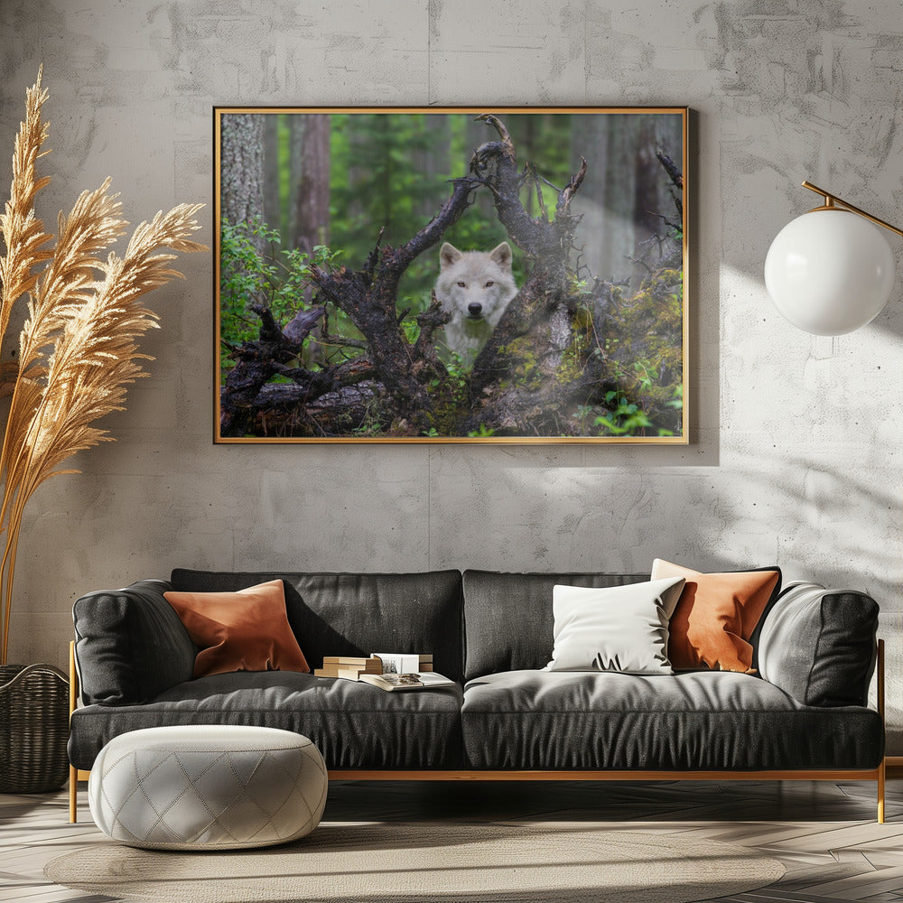 Wolf | Canvas