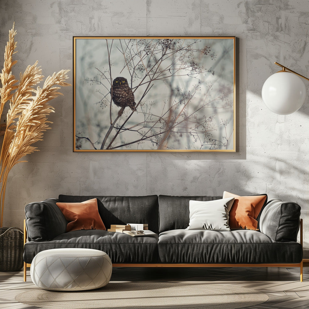 Schau mich an! | Poster
