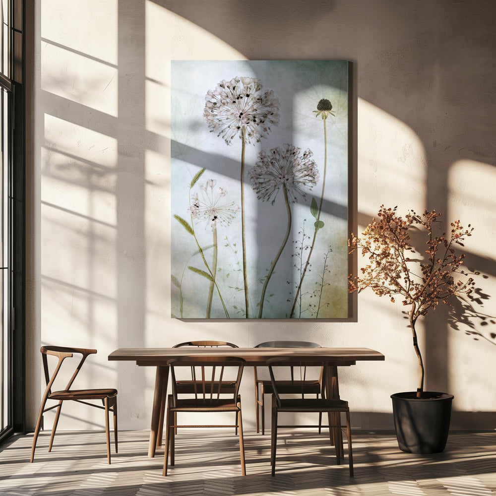 Allium | Leinwand