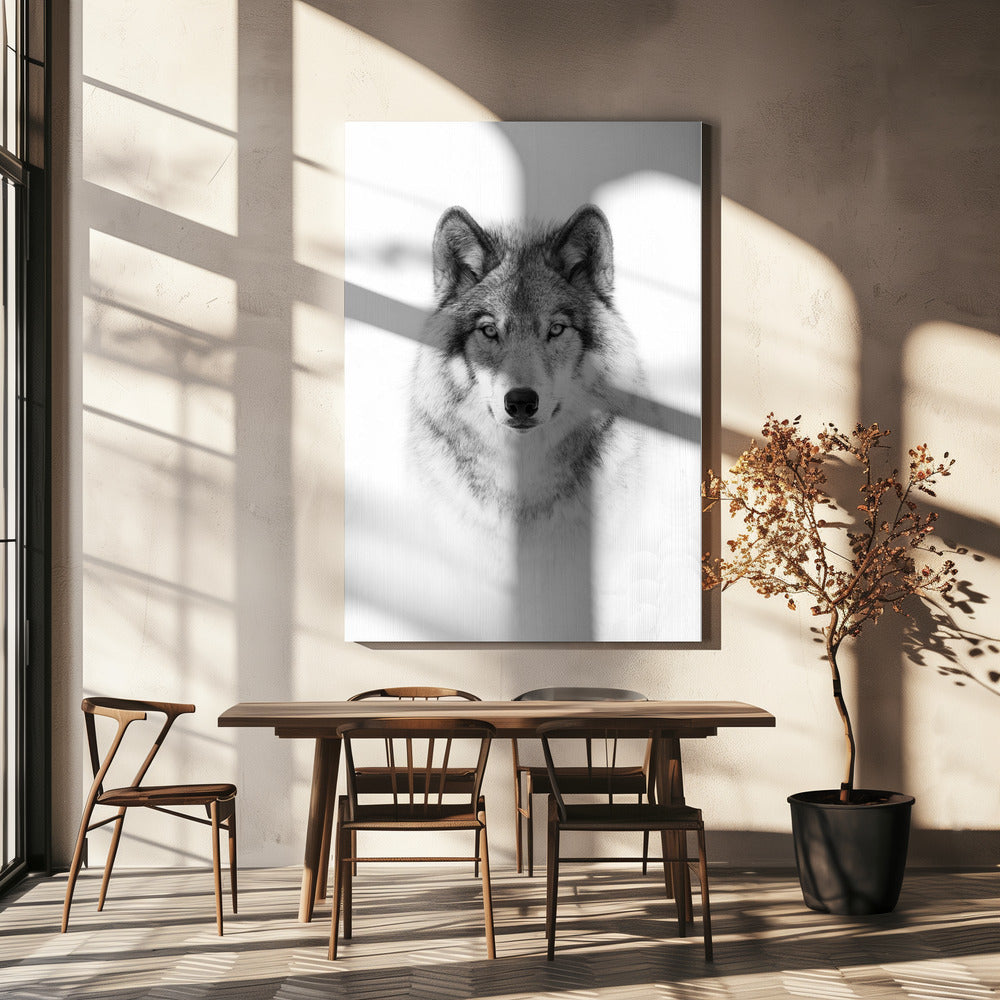 Porträt eines Timberwolfs | Leinwand