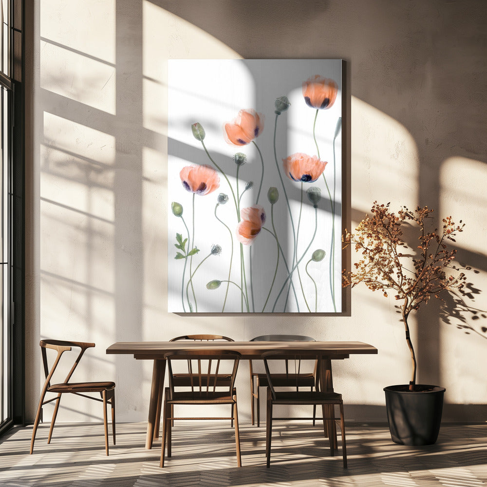 Poppies | Canvas
