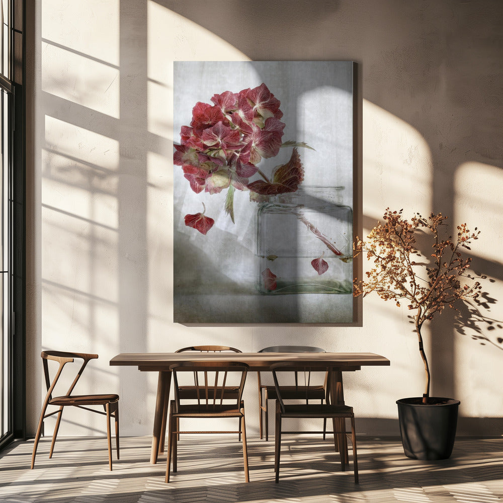 Hortensie | Leinwand