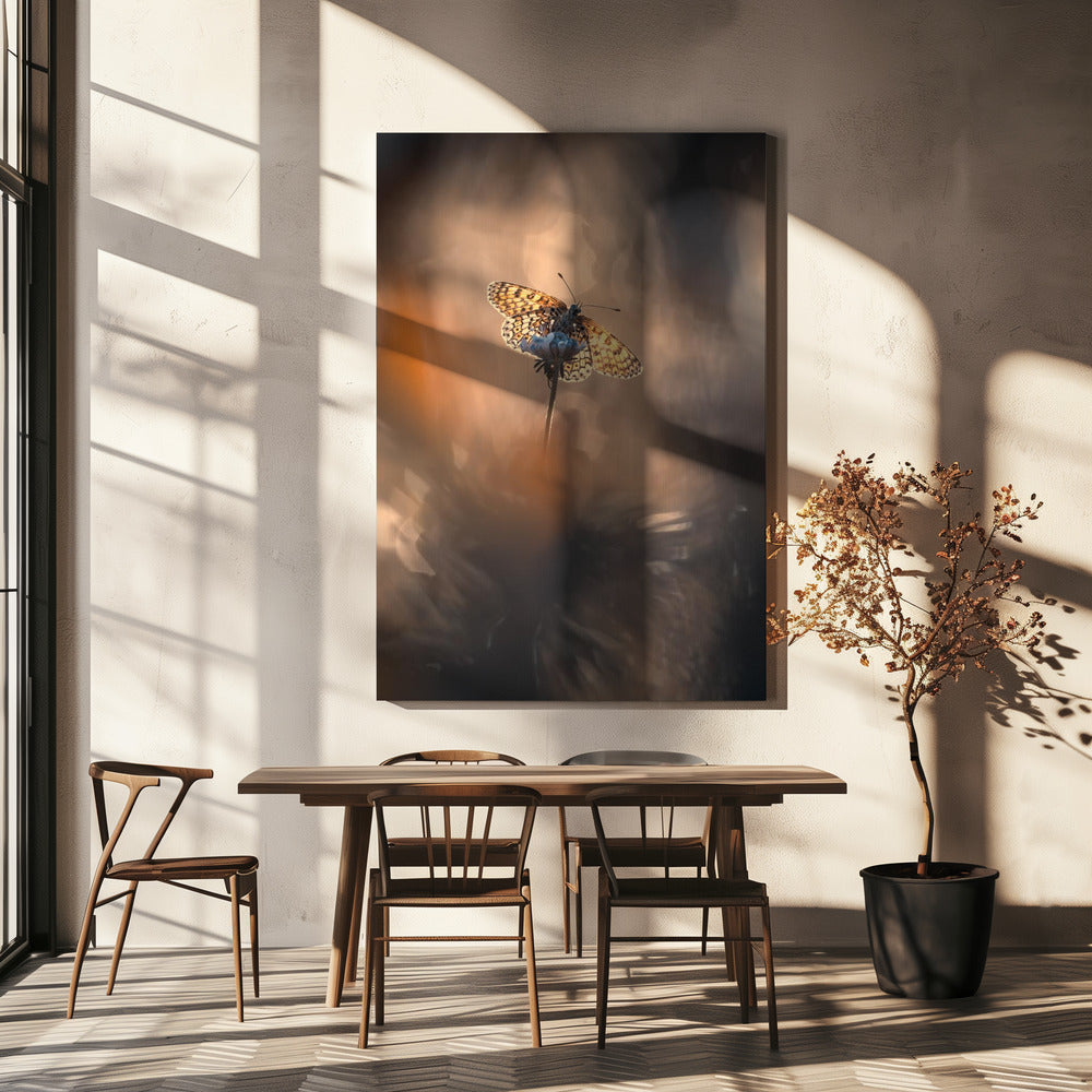 Naturally Framed | Canvas