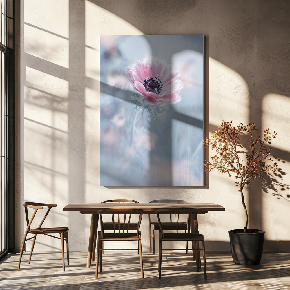 La reine de neiges | Canvas