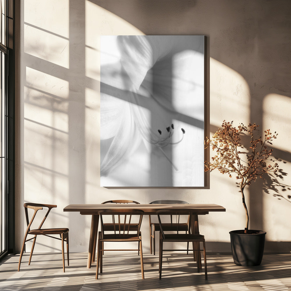 Weiß auf Weiß | Leinwand