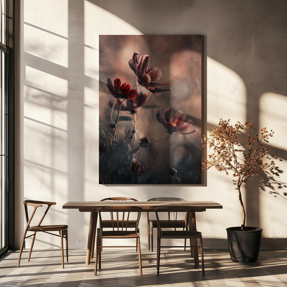 The Funky Family | Canvas