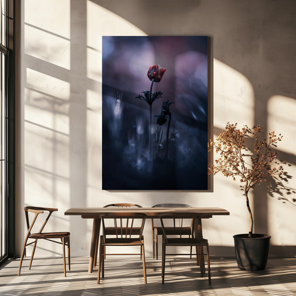 Early Girl | Canvas