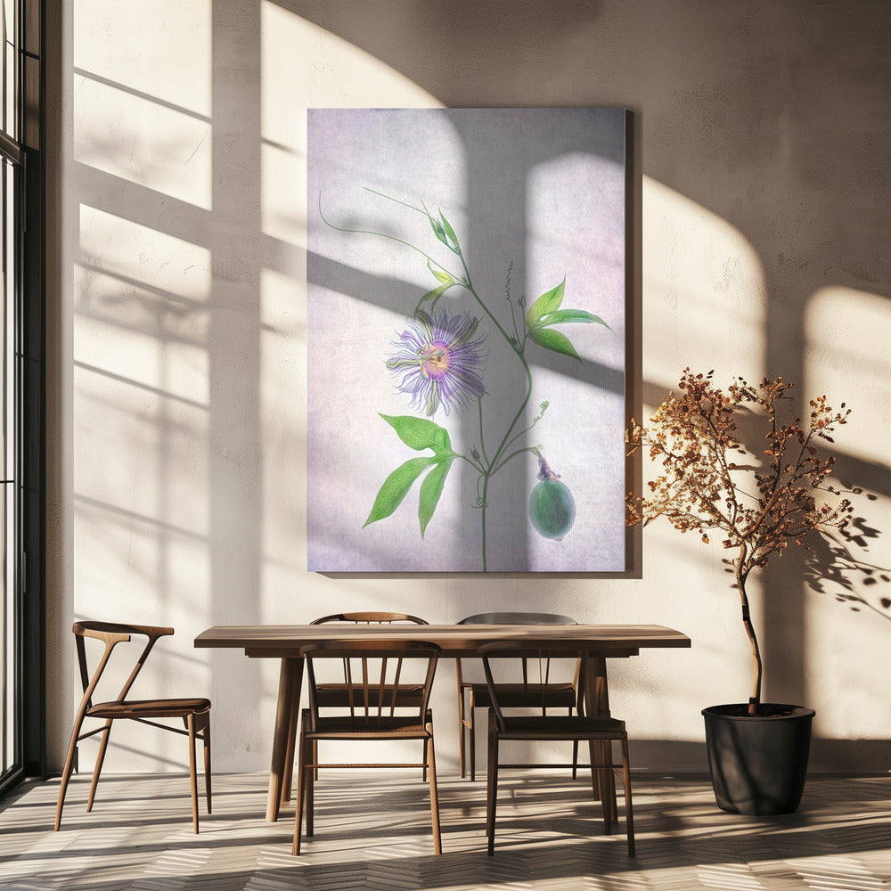 Passion Fruit | Canvas