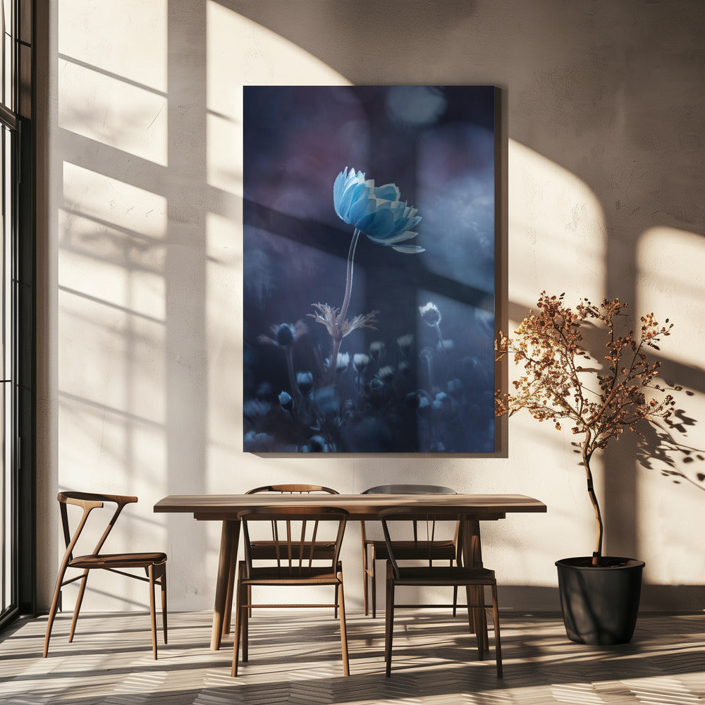 A short story of flower | Canvas