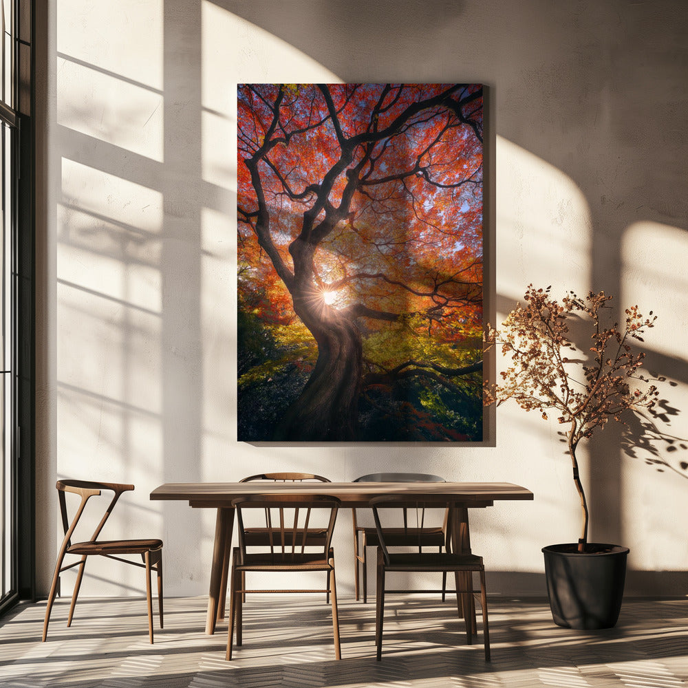 Der japanische Baum | Leinwand