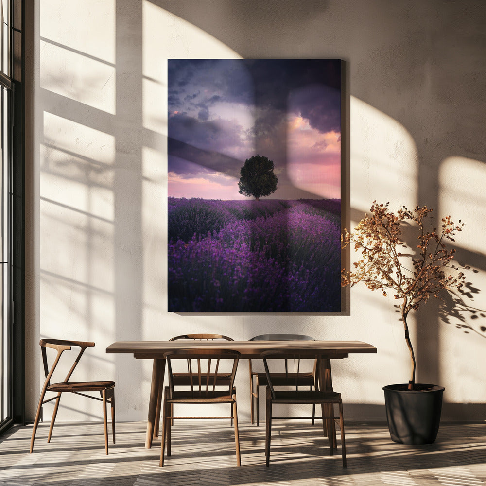 Lavendelfelder, Isparta | Leinwand