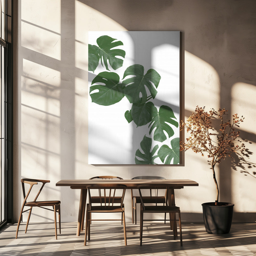 Monstera Aqua 02 | Leinwand