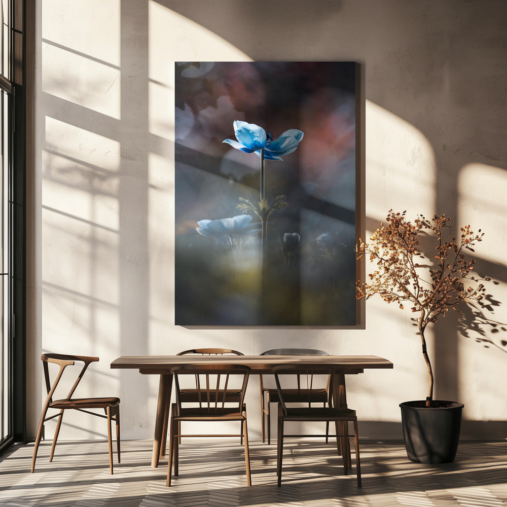 Blossom like a flower | Canvas