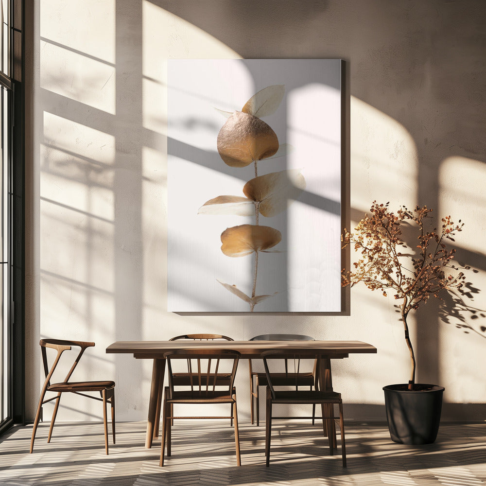 Eucalyptus Gold No 06 | Canvas