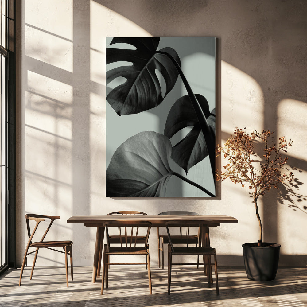 Monstera Teal 07 | Leinwand