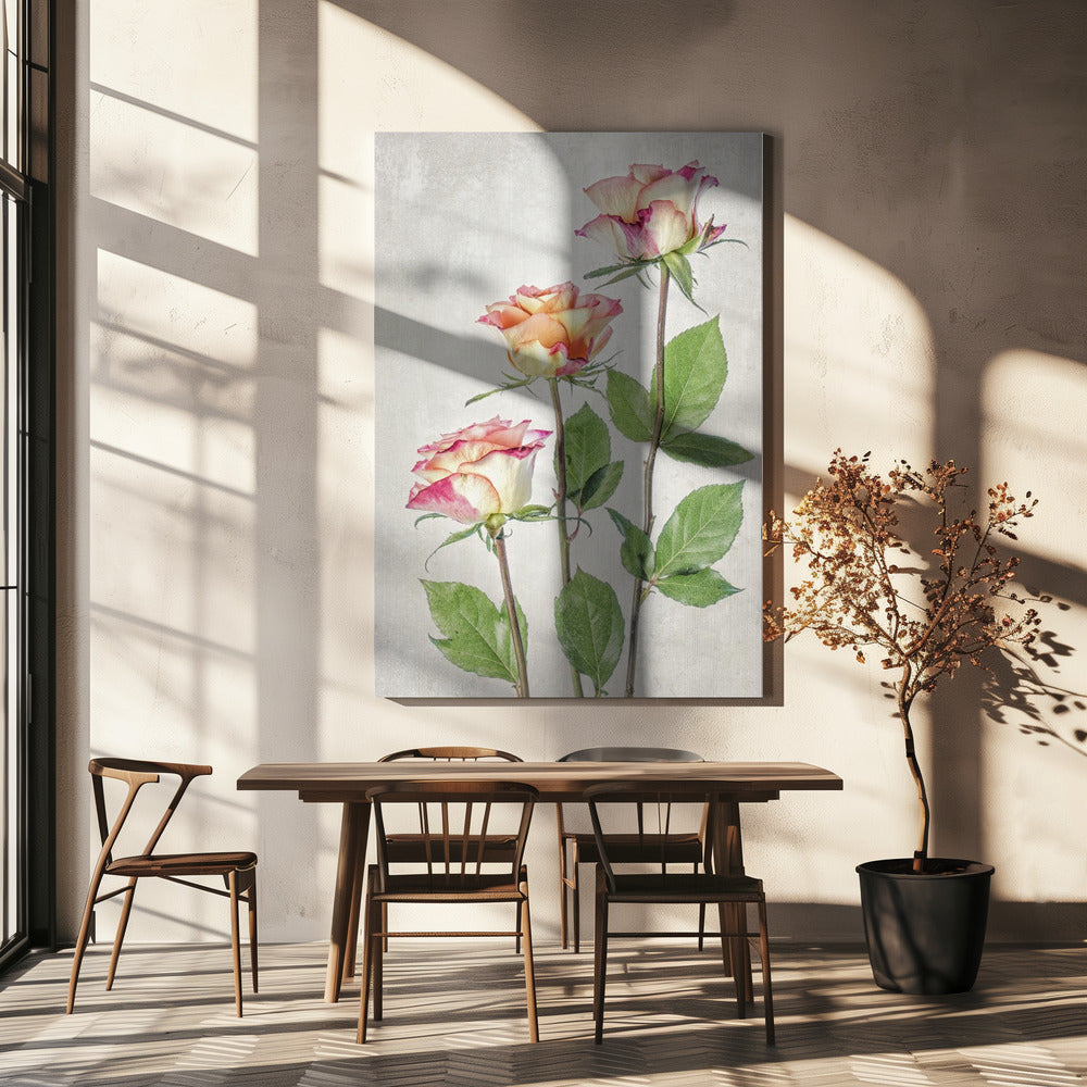 Roses | Canvas