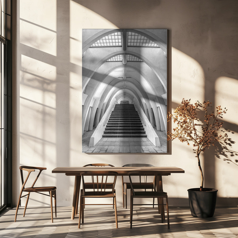 Calatrava lines | Canvas