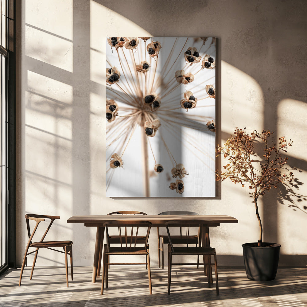 Dried_007 | Canvas