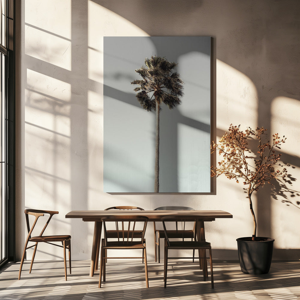 Palme_001 | Leinwand
