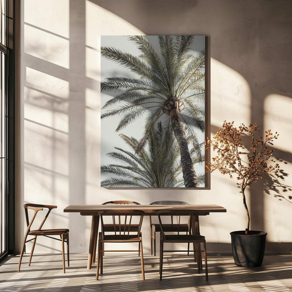 Palme_005 | Leinwand
