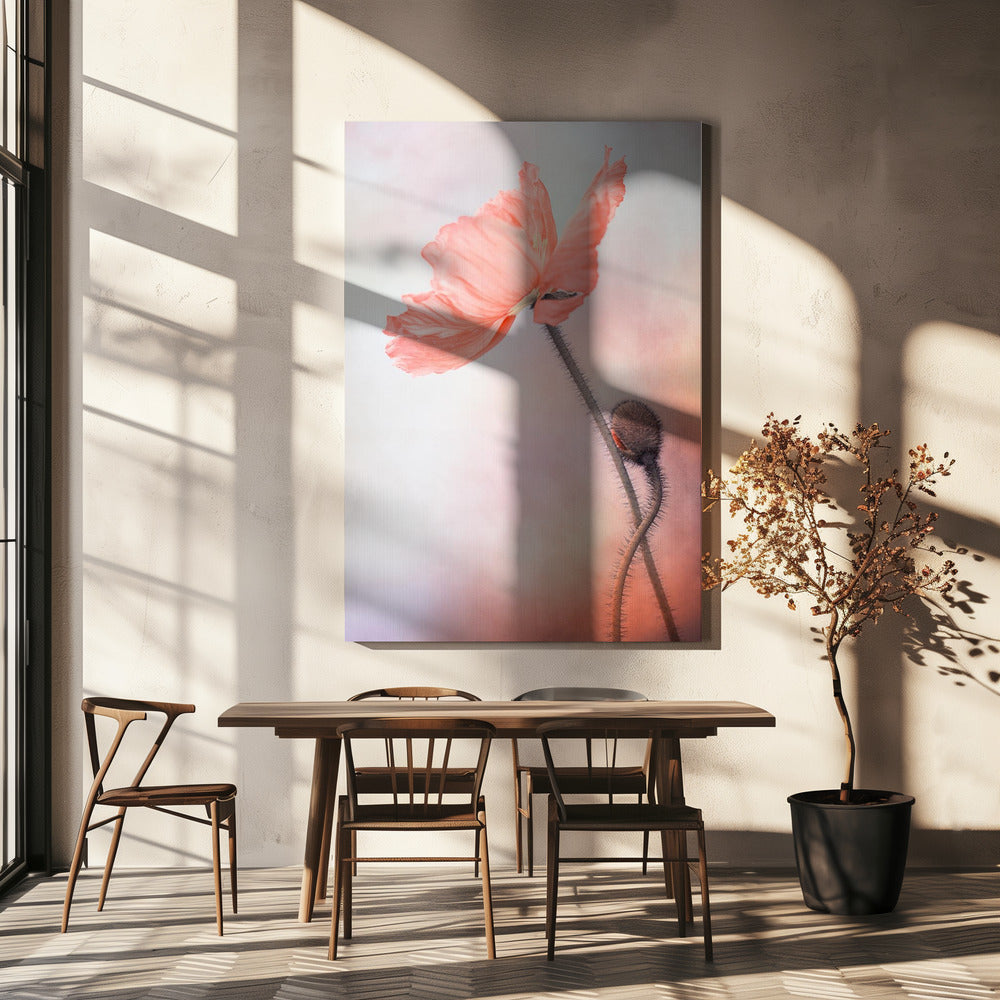 Zärtlichkeit | Leinwand